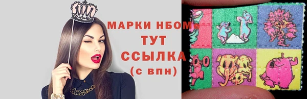 эйфоретик Няндома