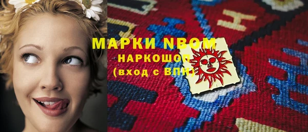 эйфоретик Няндома