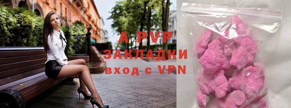 эйфоретик Няндома