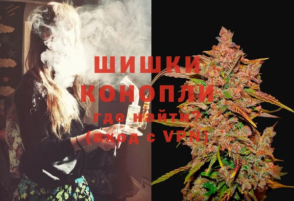 эйфоретик Няндома